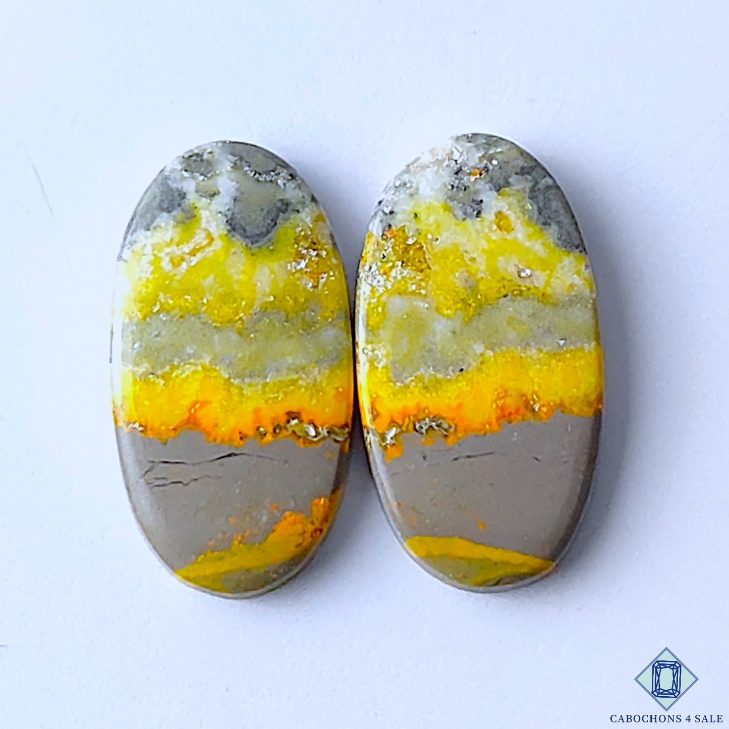 Bumble Bee Jasper