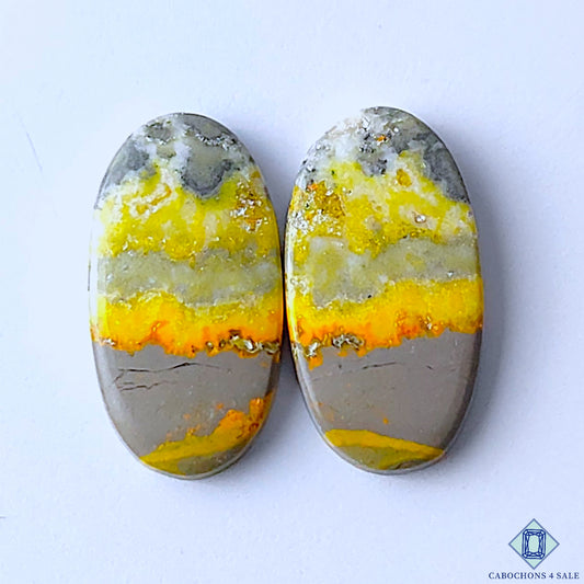 Bumble Bee Jasper