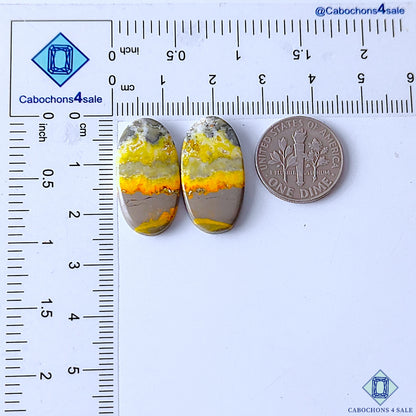Bumble Bee Jasper