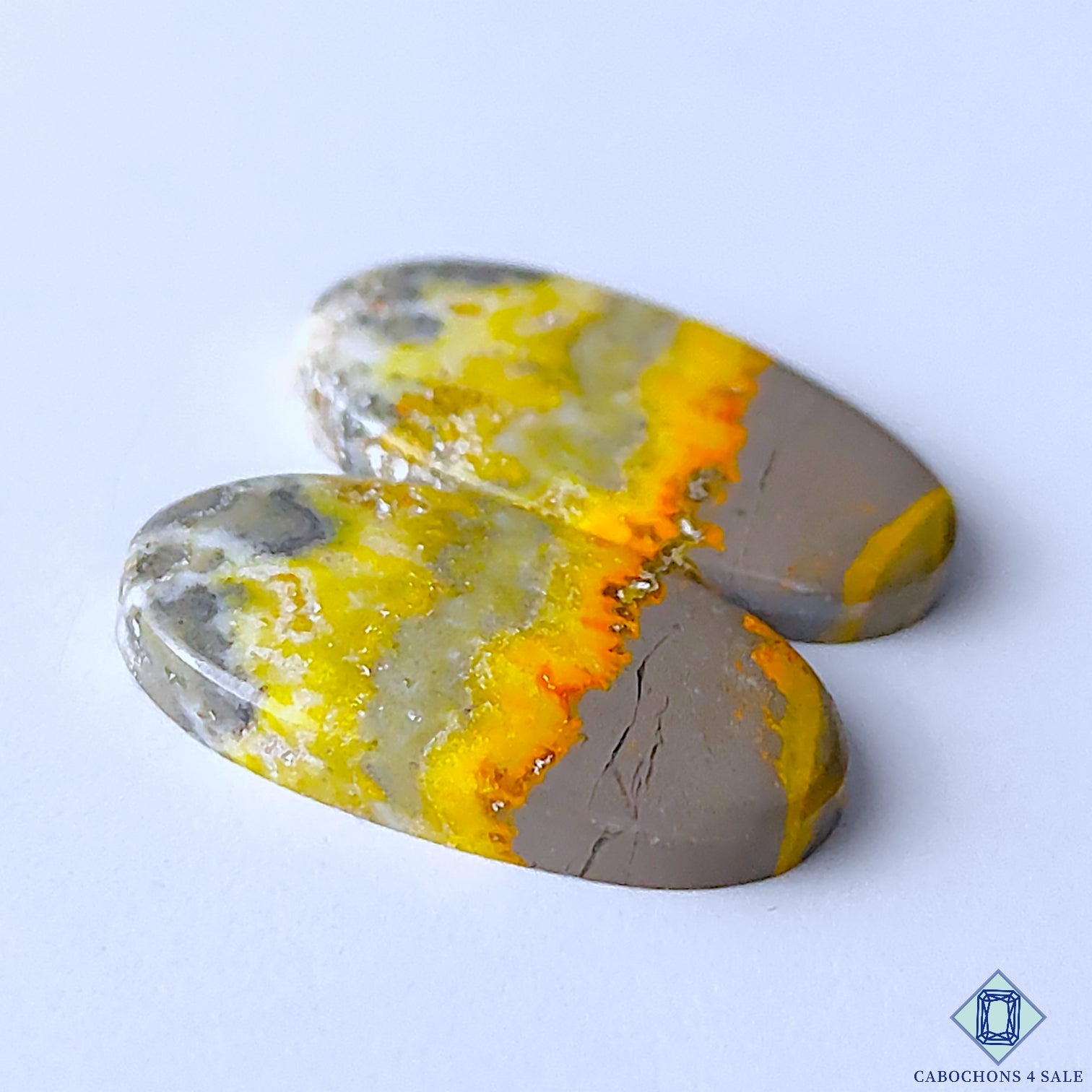 Bumble Bee Jasper