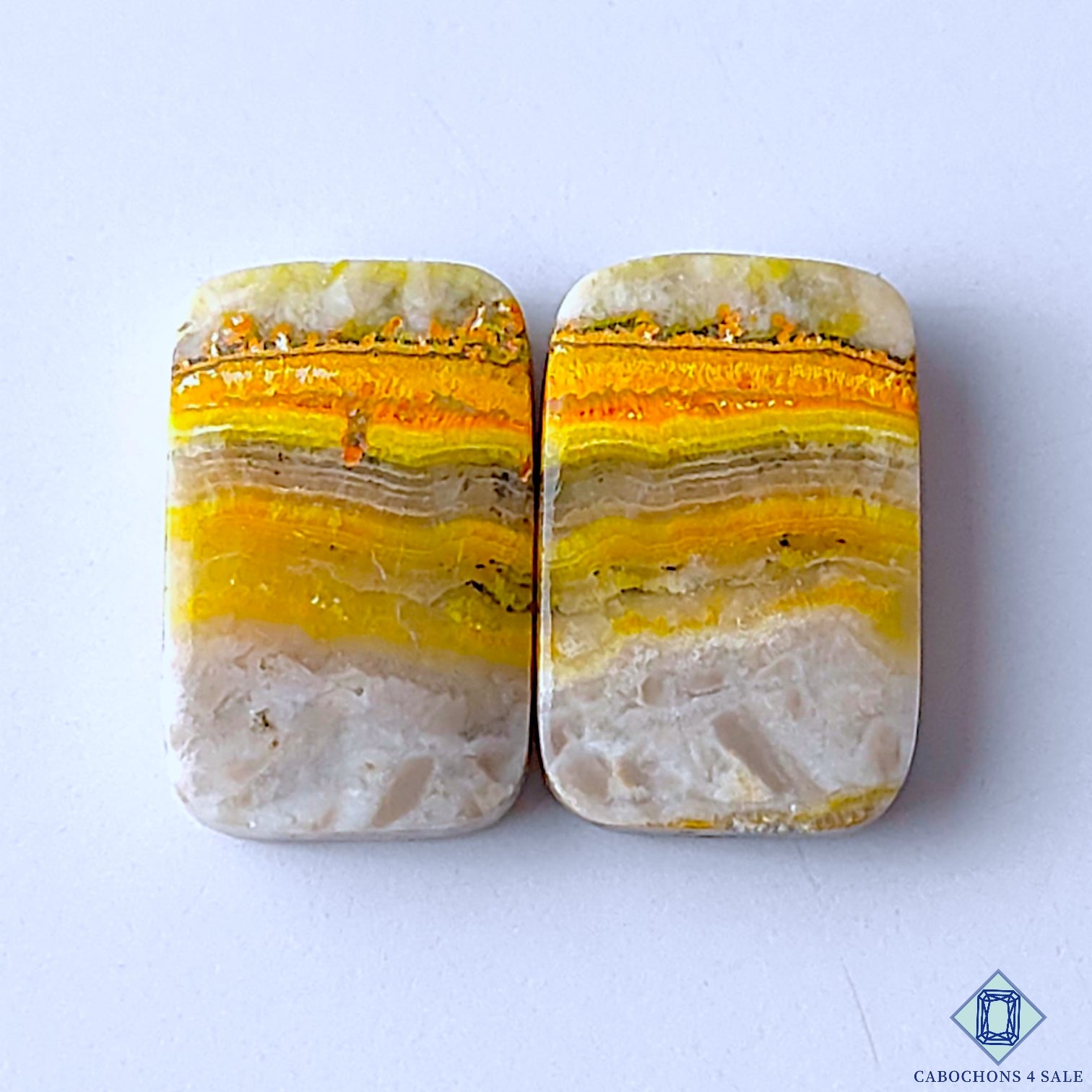 Bumble Bee Jasper