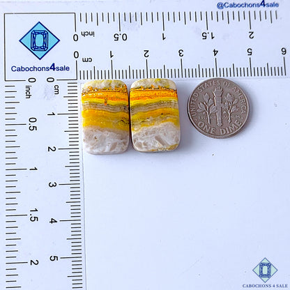 Bumble Bee Jasper