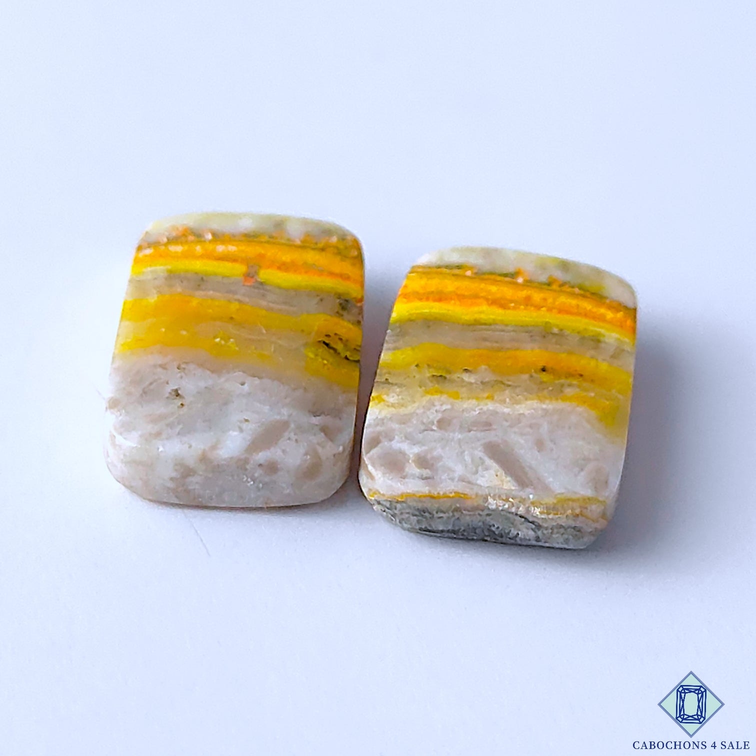 Bumble Bee Jasper