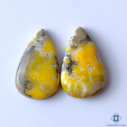 Bumble Bee Jasper