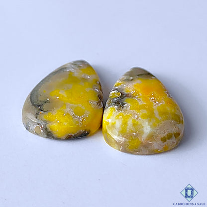 Bumble Bee Jasper