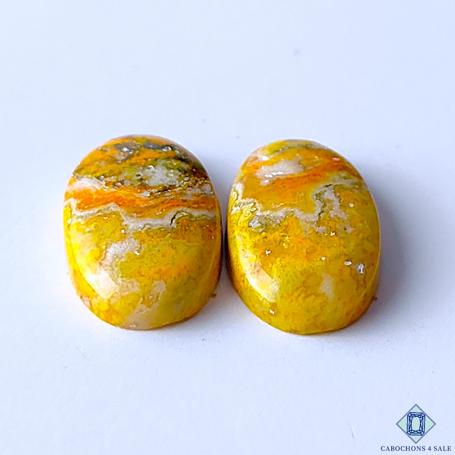 Bumble Bee Jasper