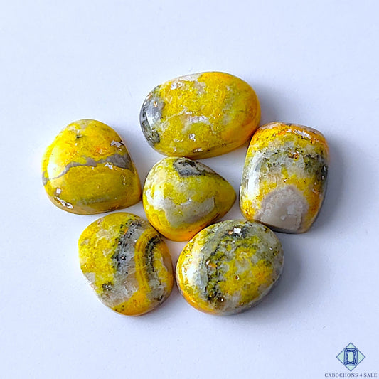 Bumble Bee Jasper