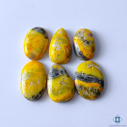 Bumble Bee Jasper