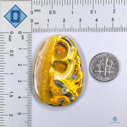 Bumblebee Jasper Fancy Cabochons