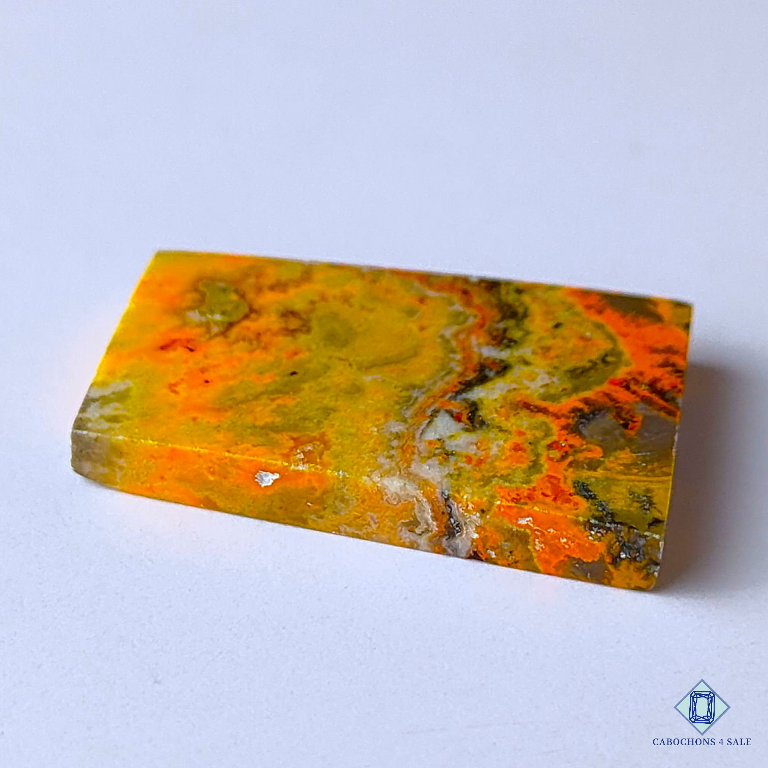 Bumblebee Jasper