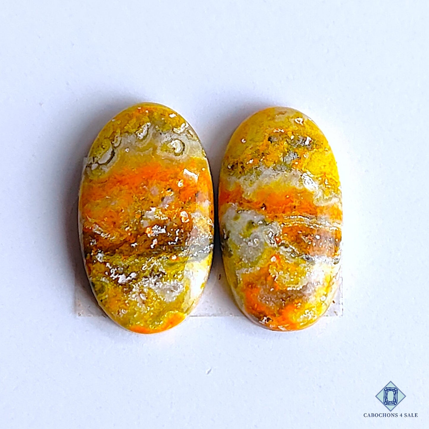 Bumblebee Jasper