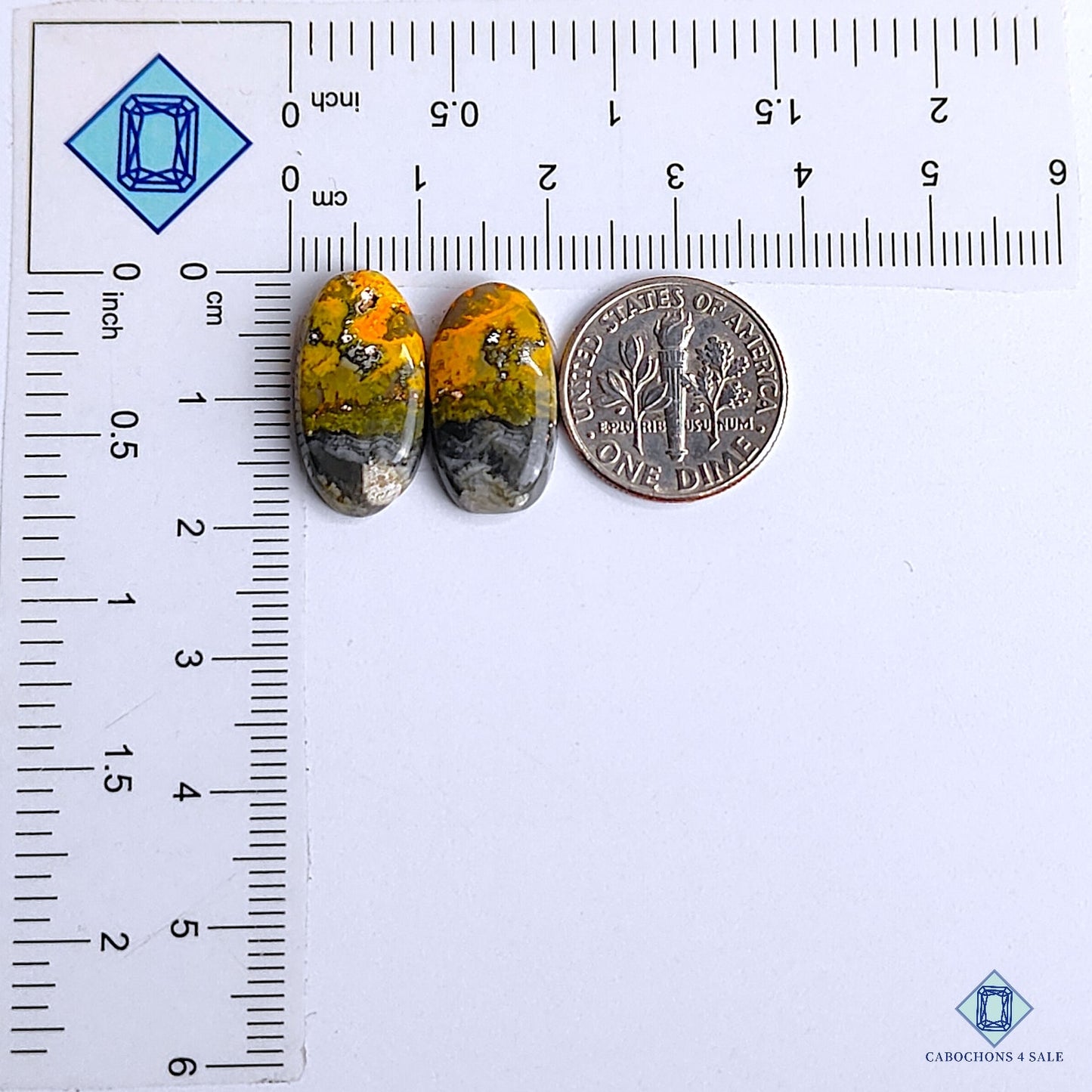 Bumblebee Jasper