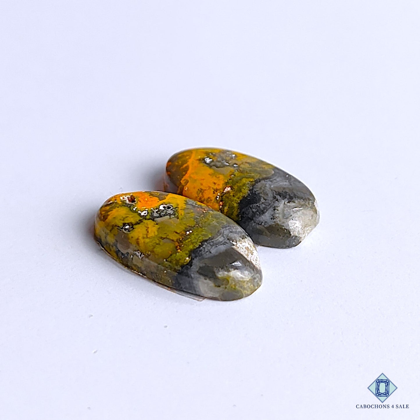 Bumblebee Jasper