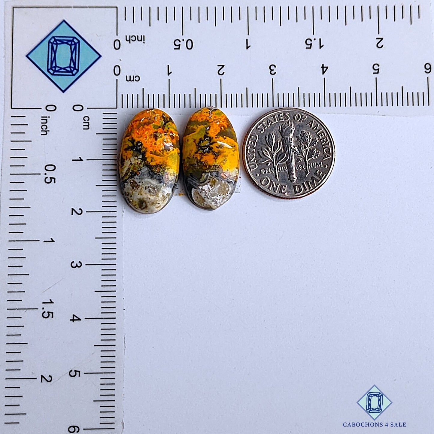 Bumblebee Jasper