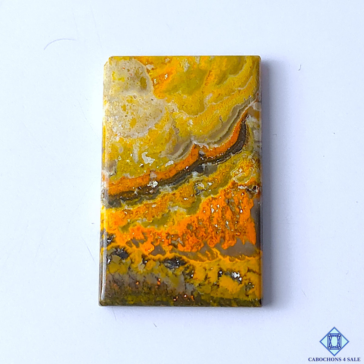 Bumblebee Jasper
