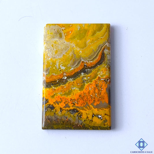 Bumblebee Jasper