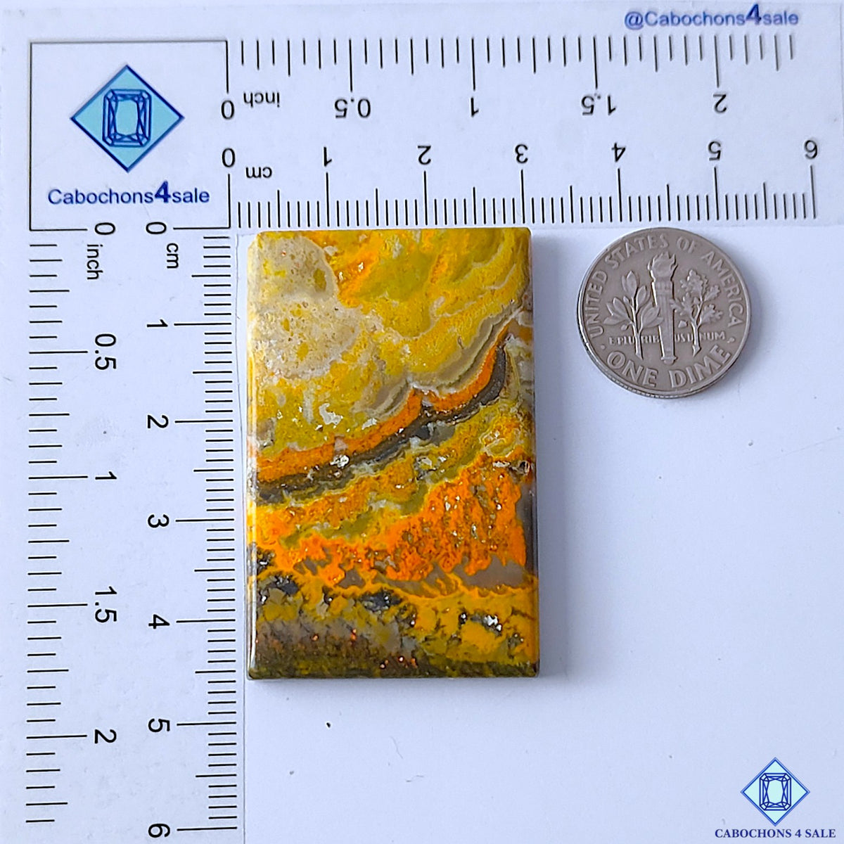 Bumblebee Jasper