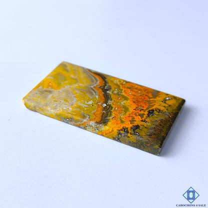 Bumblebee Jasper