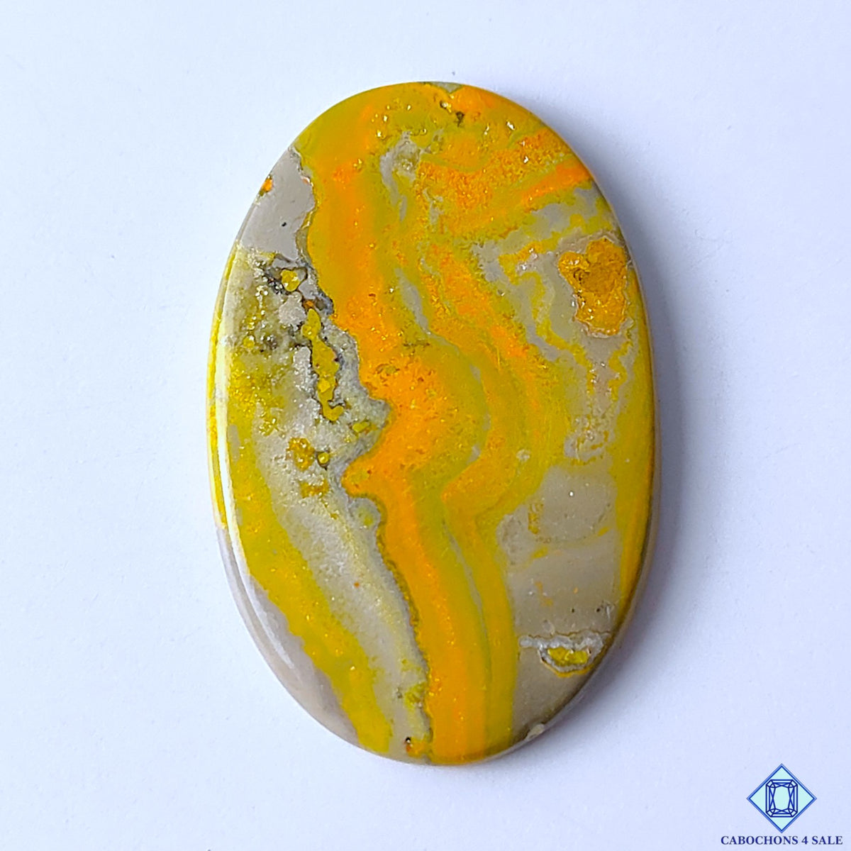Bumblebee Jasper
