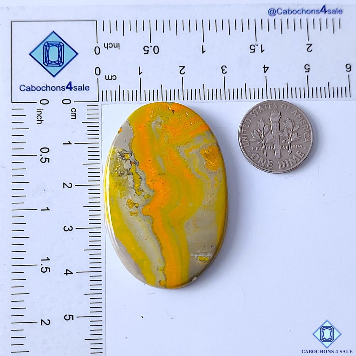 Bumblebee Jasper