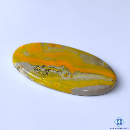 Bumblebee Jasper