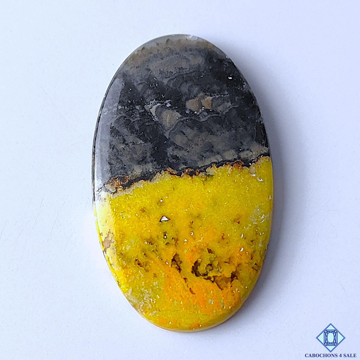Bumblebee Jasper