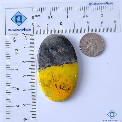 Bumblebee Jasper
