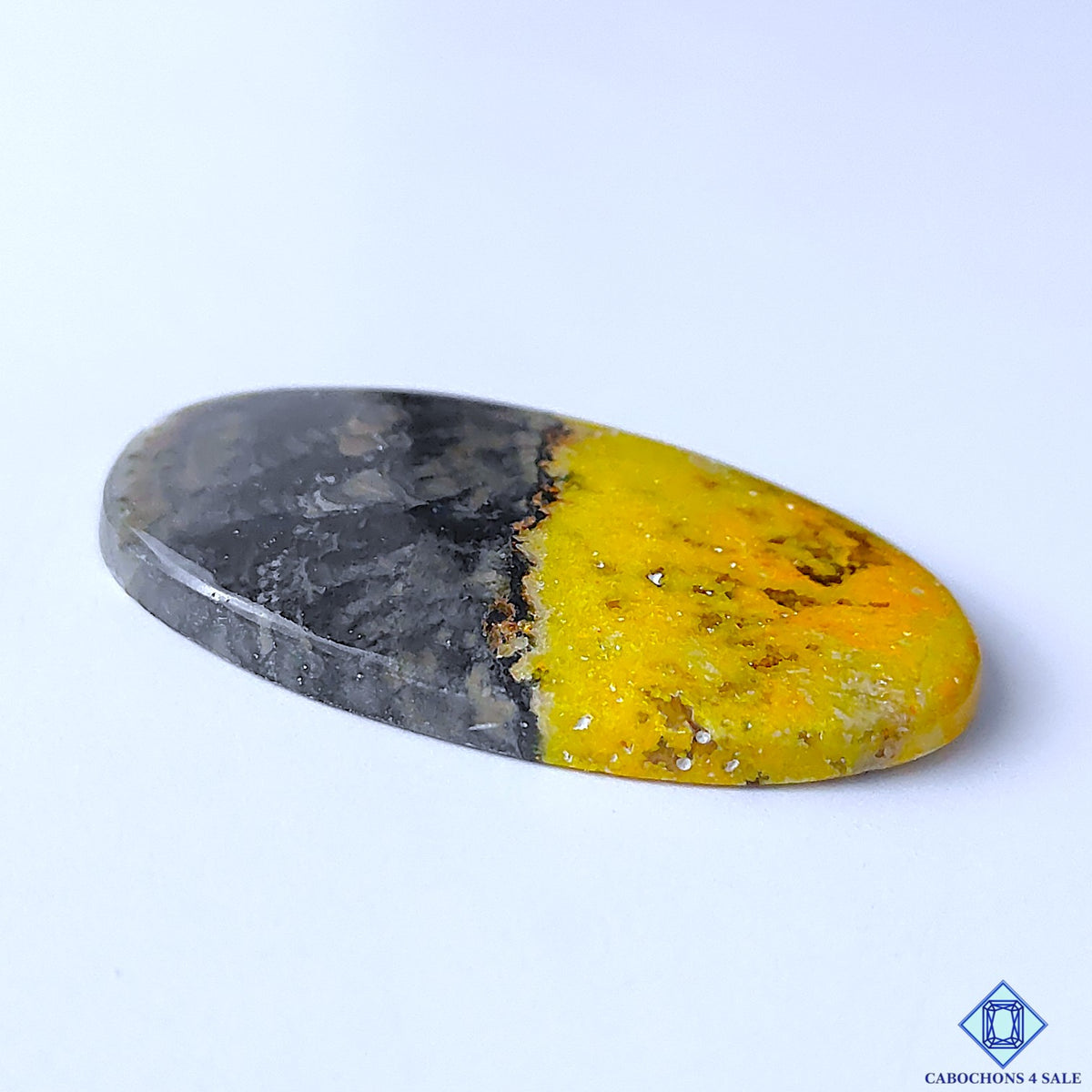 Bumblebee Jasper