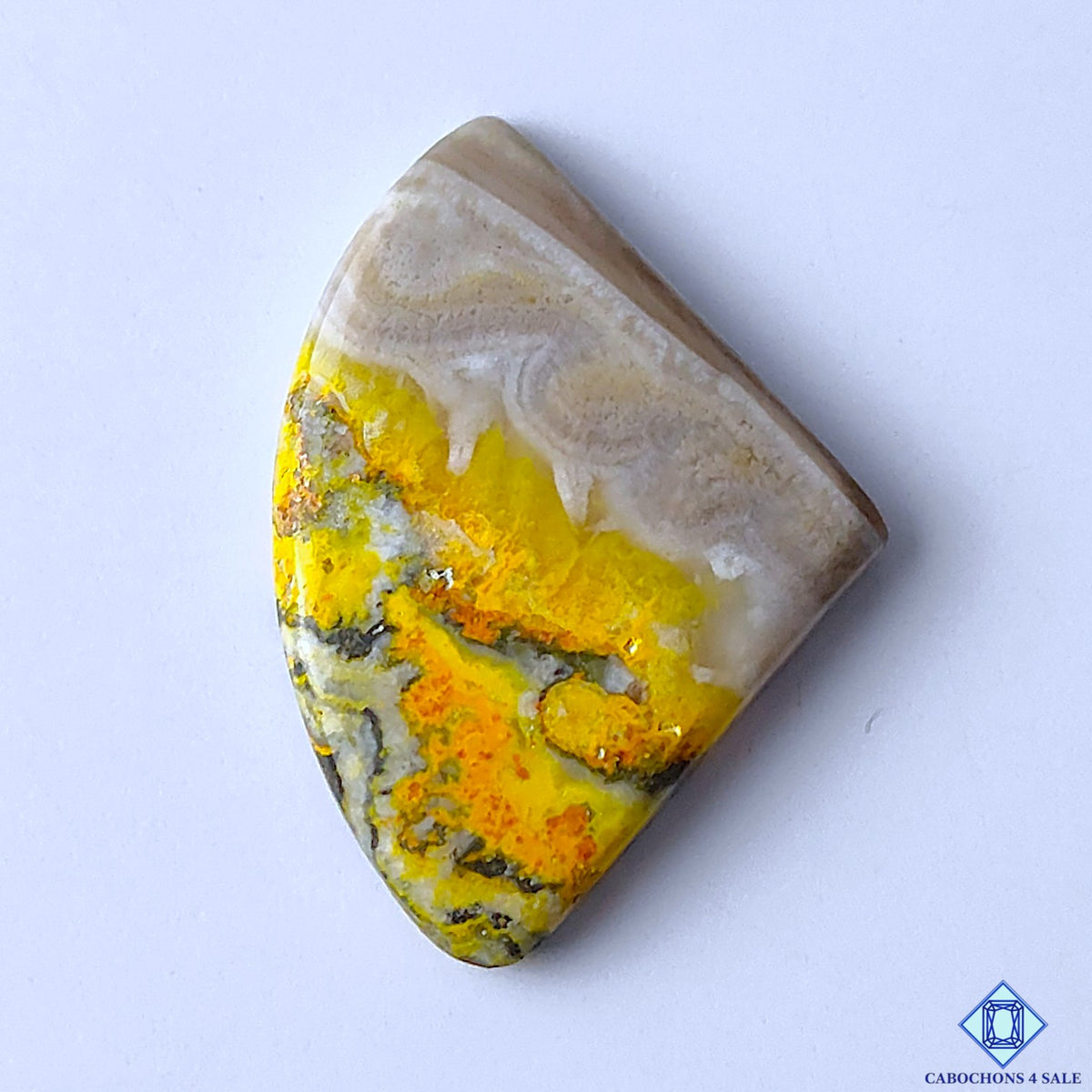Bumblebee Jasper