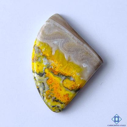Bumblebee Jasper