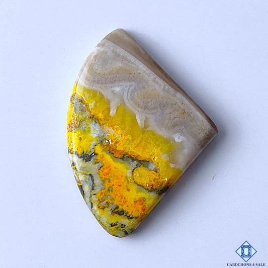 Bumblebee Jasper