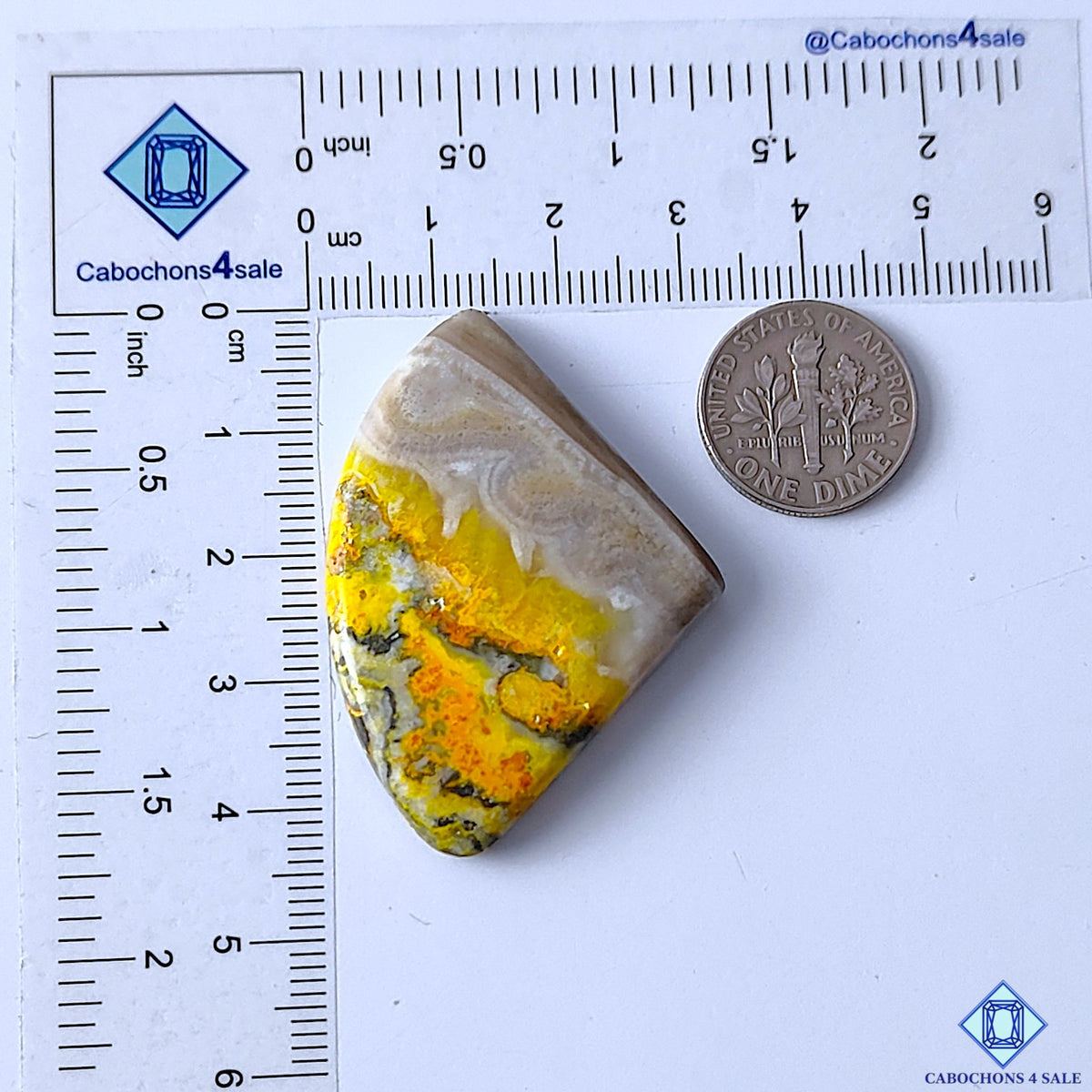 Bumblebee Jasper