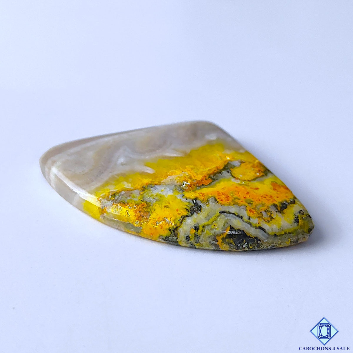 Bumblebee Jasper