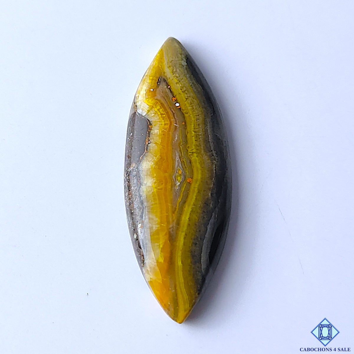 Bumblebee Jasper