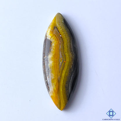 Bumblebee Jasper