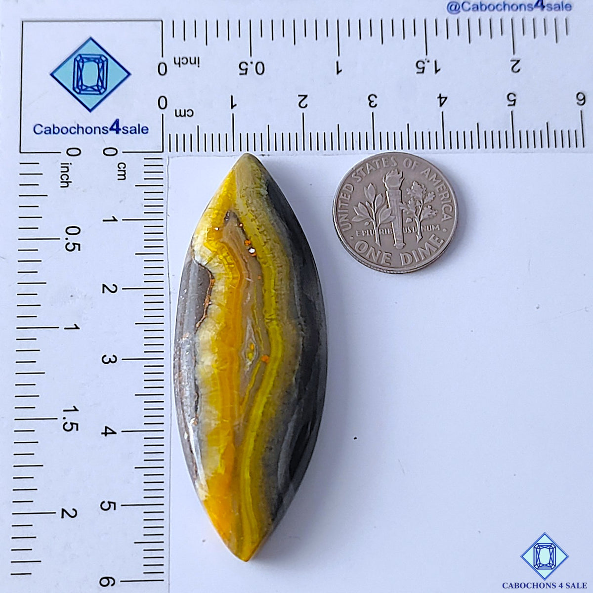 Bumblebee Jasper