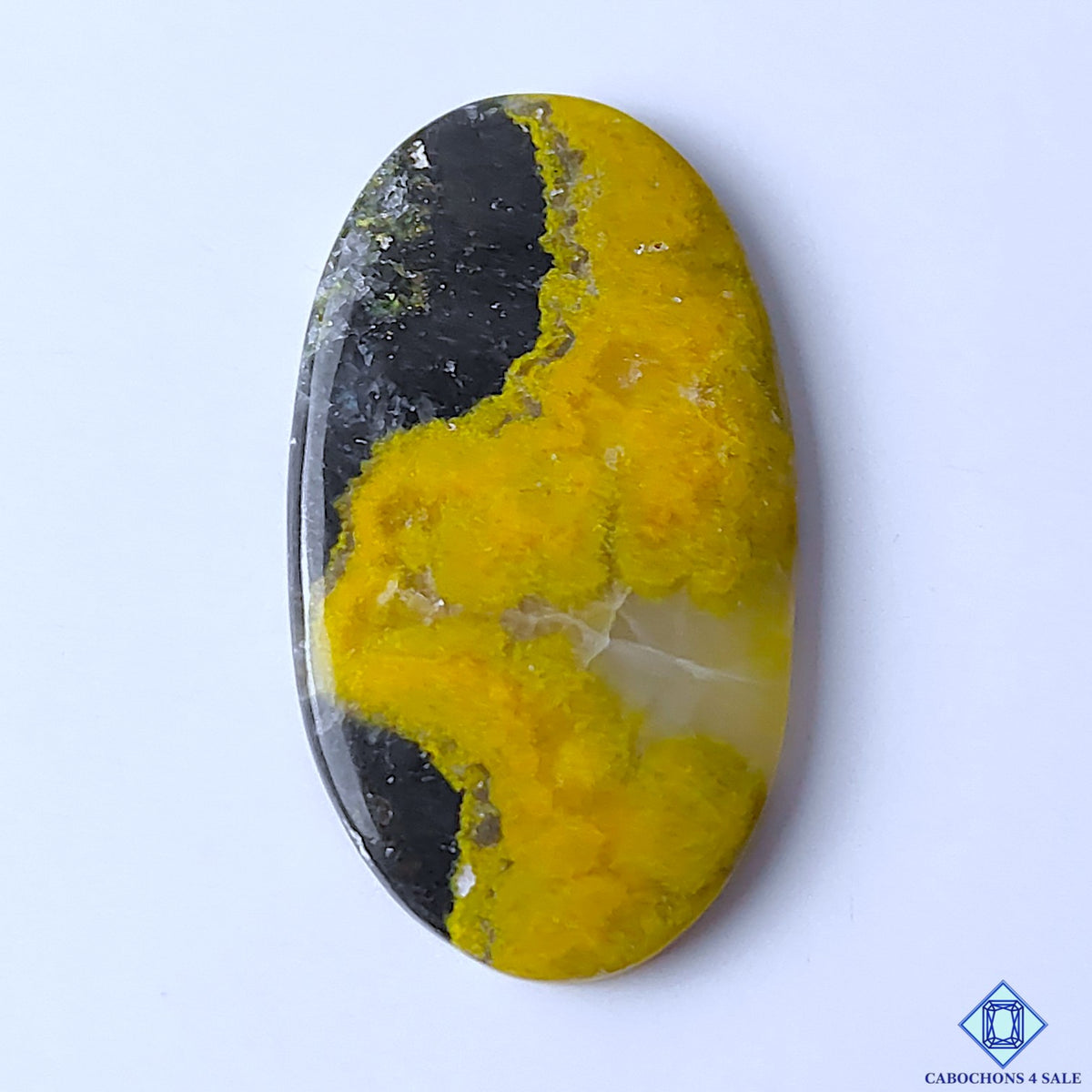 Bumblebee Jasper