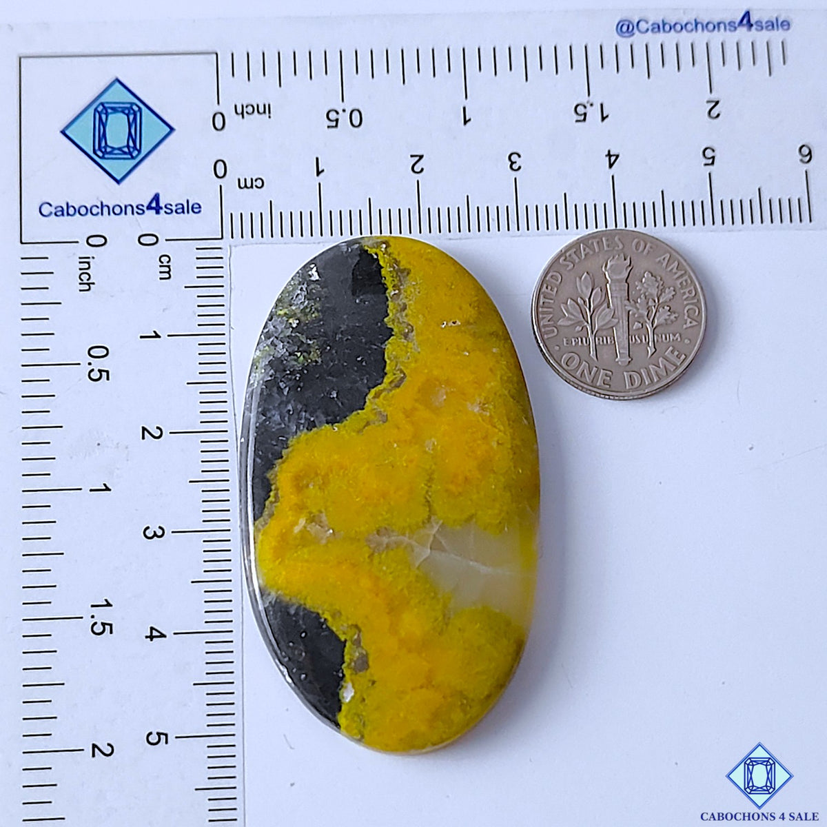 Bumblebee Jasper