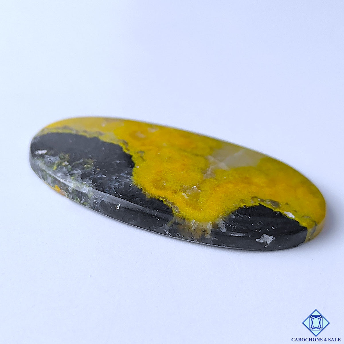 Bumblebee Jasper