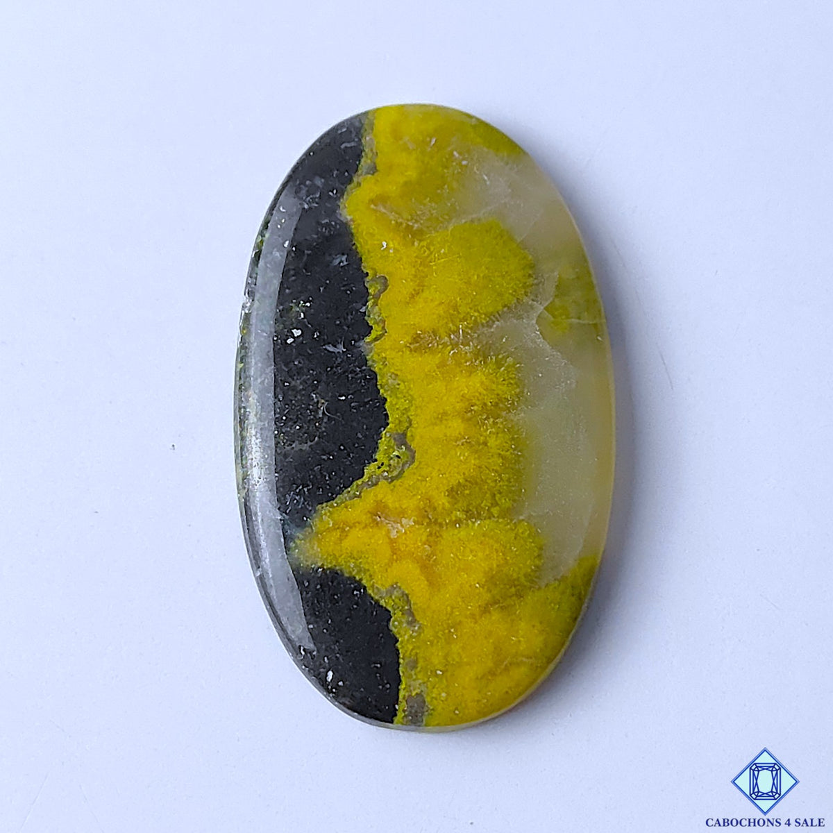 Bumblebee Jasper