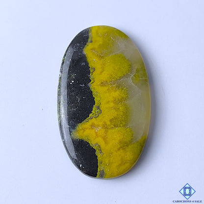 Bumblebee Jasper