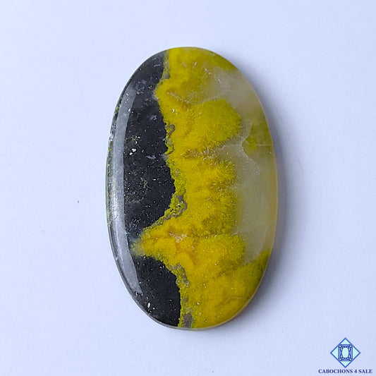 Bumblebee Jasper