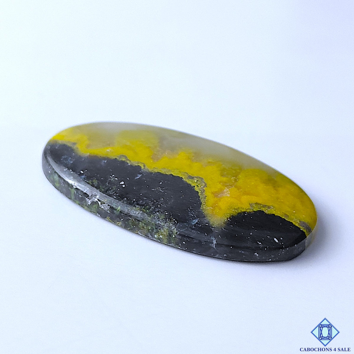 Bumblebee Jasper