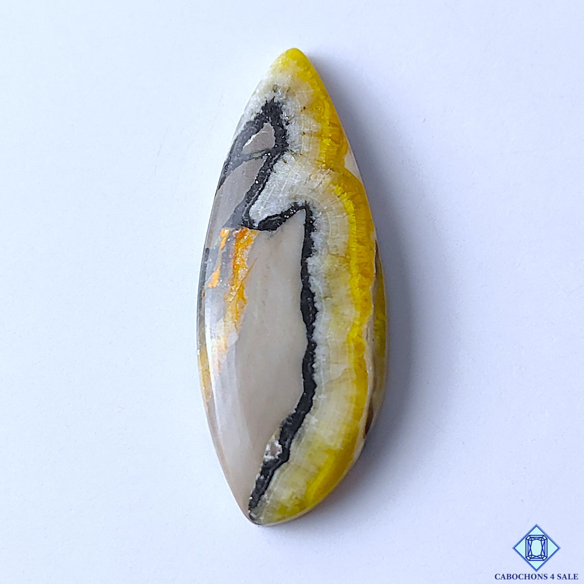 Bumblebee Jasper