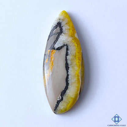 Bumblebee Jasper