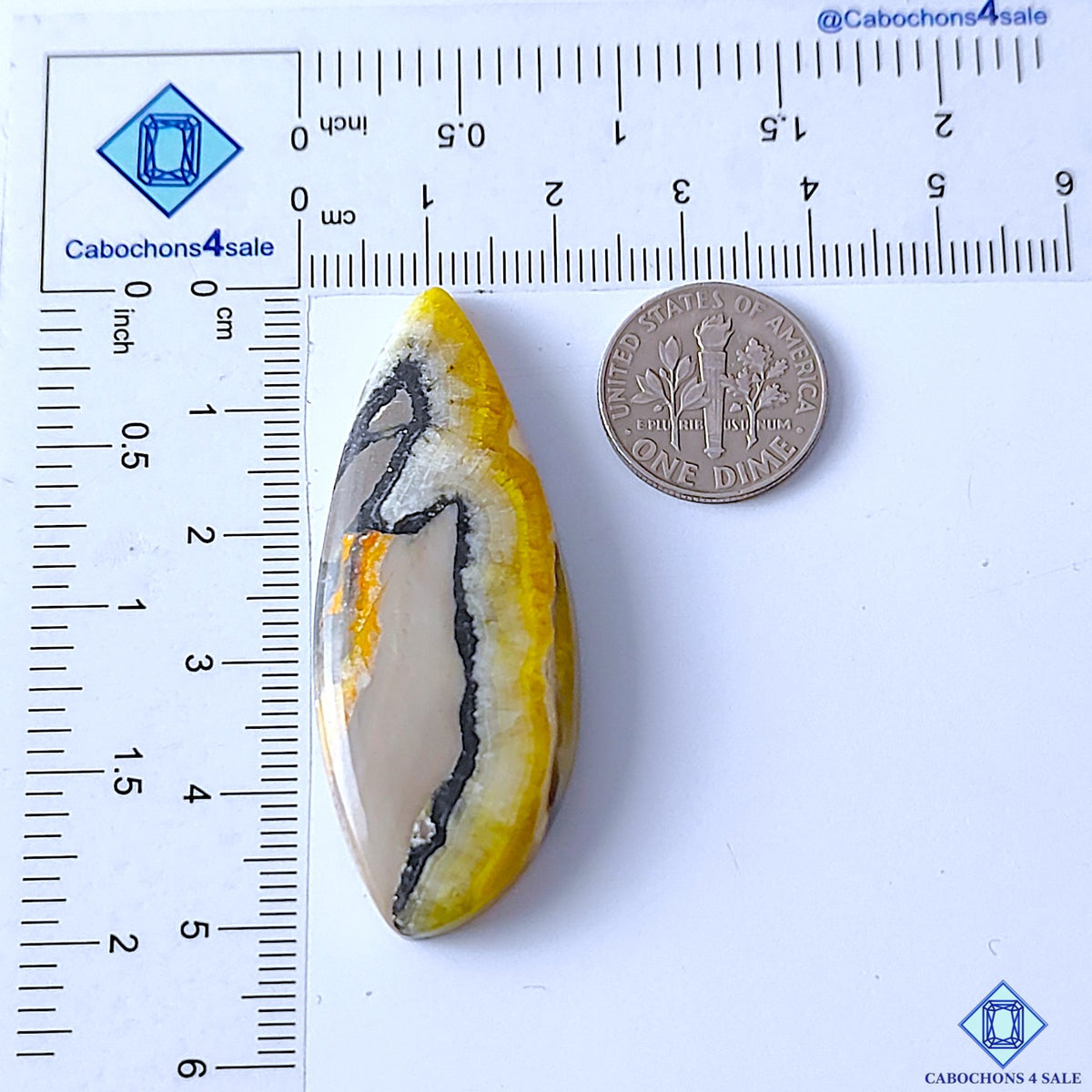 Bumblebee Jasper
