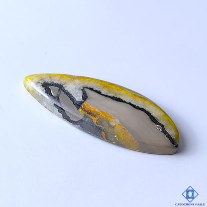 Bumblebee Jasper