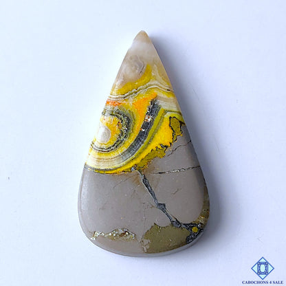Bumblebee Jasper