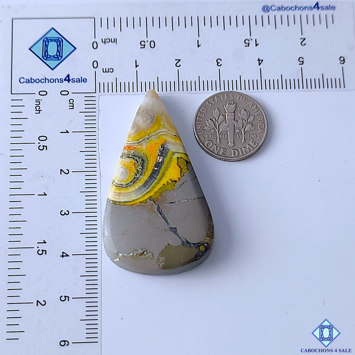 Bumblebee Jasper
