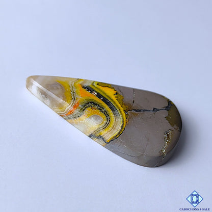Bumblebee Jasper